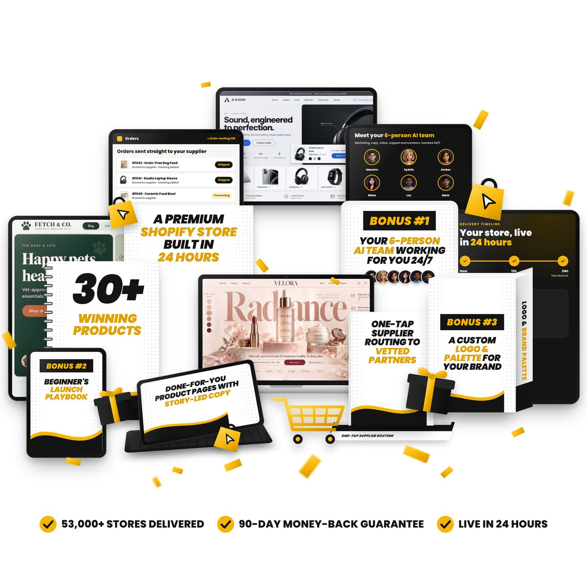CUSTOM DROPSHIPPING STORE